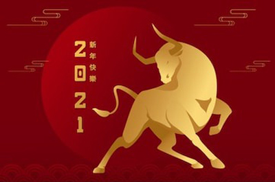 顺动国际传媒全体员工在此祝您新年快乐！